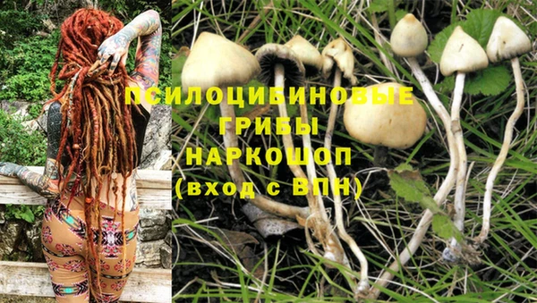 спиды Абаза