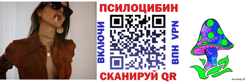 наркошоп  Одинцово  Псилоцибиновые грибы Cubensis 