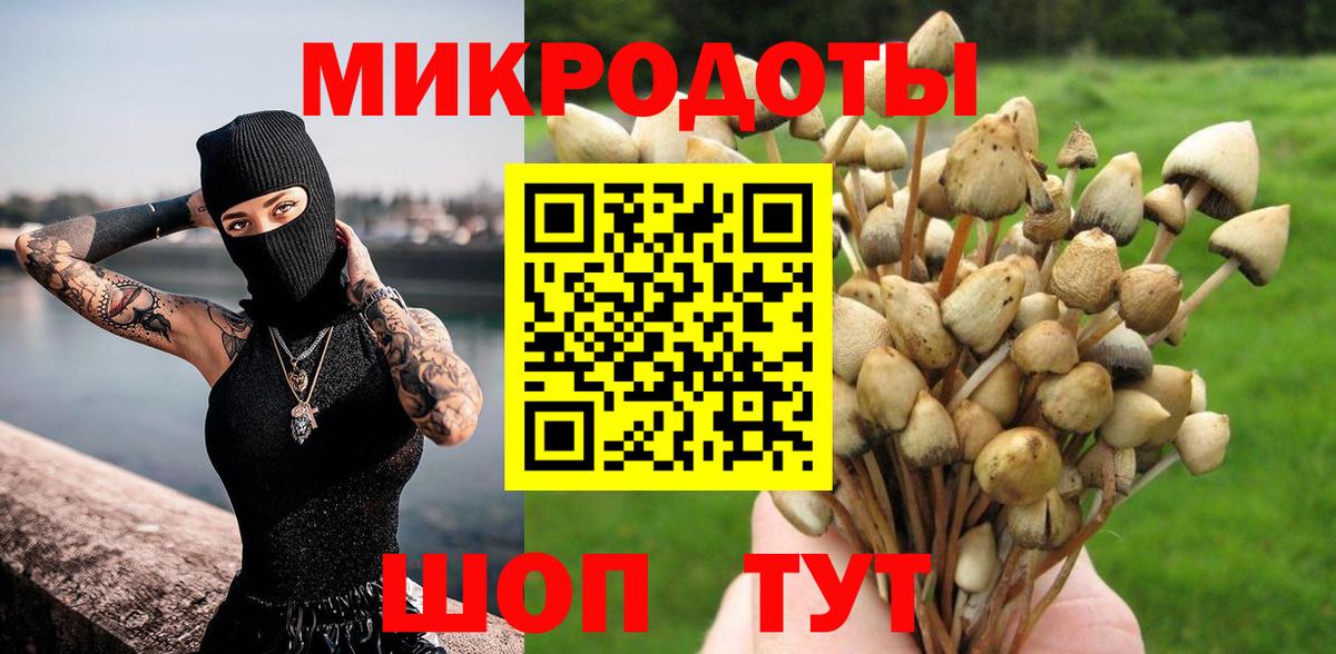 Псилоцибиновые грибы мицелий Одинцово