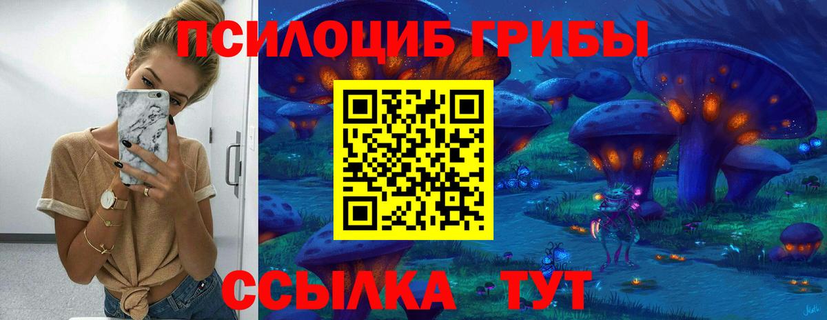 Псилоцибиновые грибы MAGIC MUSHROOMS  Галлюциногенные грибы MAGIC MUSHROOMS  Одинцово  цена наркотик  Вход с VPN 